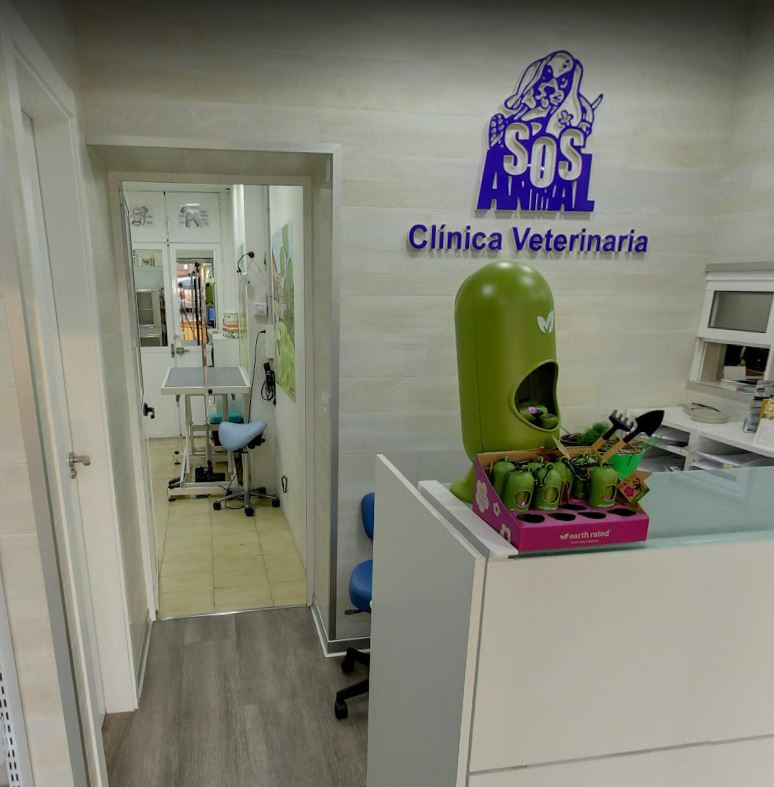 Clínica Veterinaria en el centro de Málaga Clínica Dr. Galacho